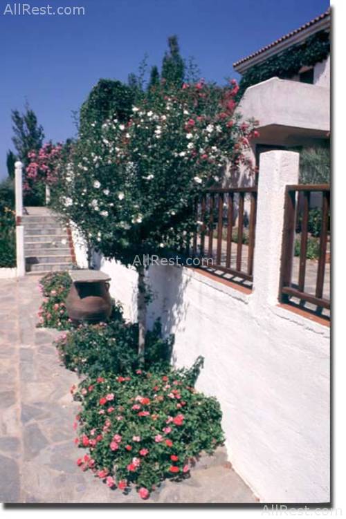 Mia Hara Hotel 21